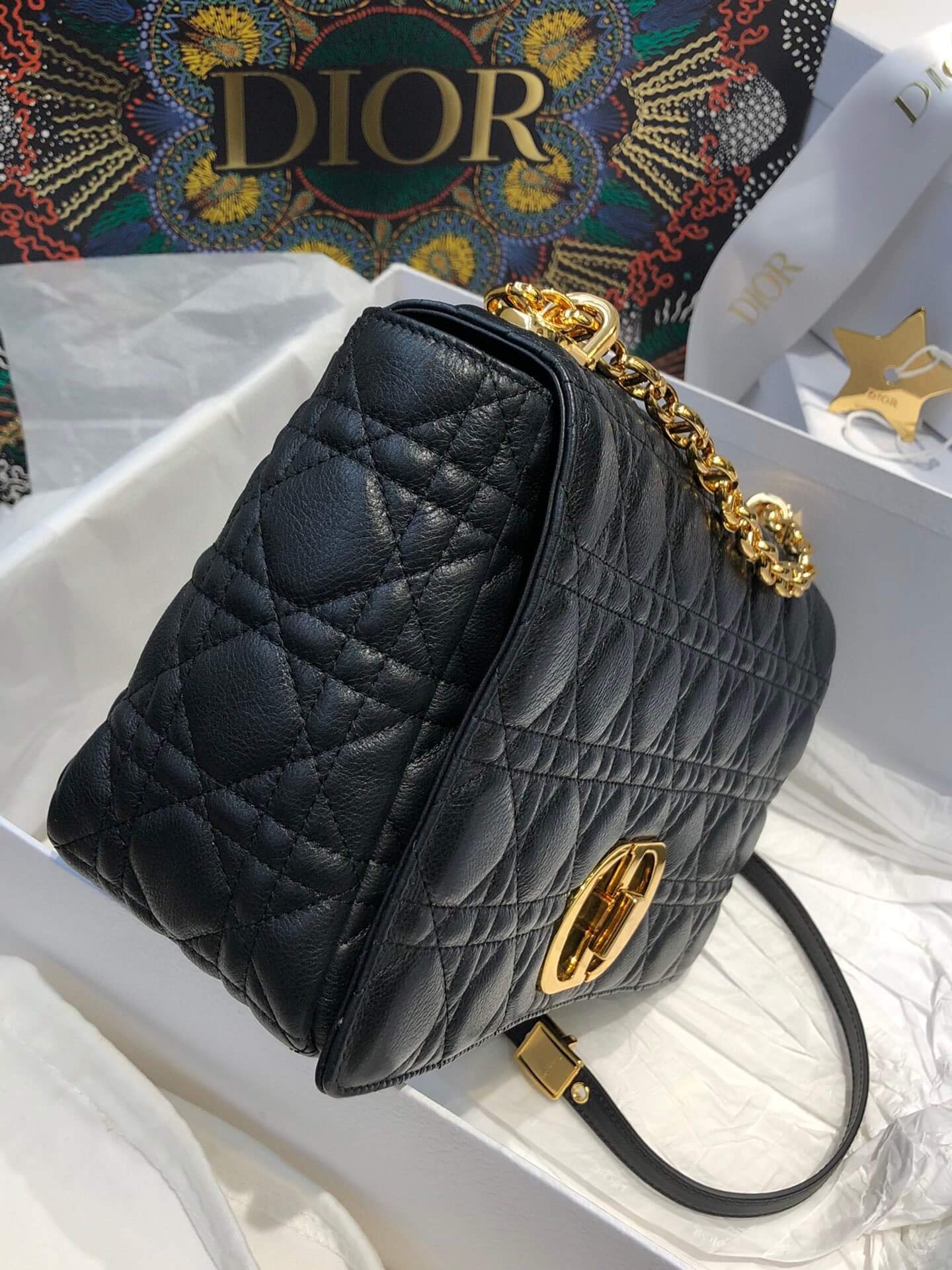 Dior Timeless Elegance Bag
